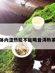 体内湿热能不能喝普洱熟茶