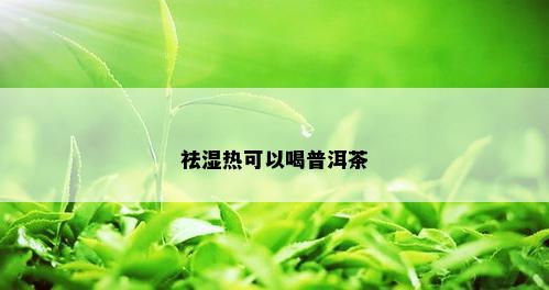 祛湿热可以喝普洱茶