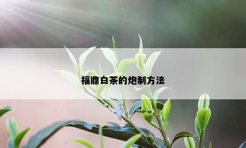 福鼎白茶的炮制方法