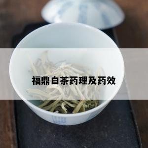 福鼎白茶药理及药效