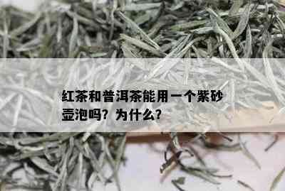 红茶和普洱茶能用一个紫砂壶泡吗？为什么？