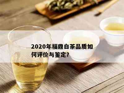 2020年福鼎白茶品质如何评价与鉴定？