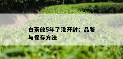 白茶放5年了没开封：品鉴与保存方法