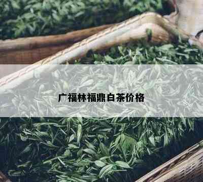 广福林福鼎白茶价格