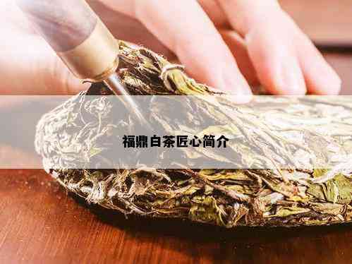 福鼎白茶匠心简介