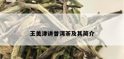 王美津讲普洱茶及其简介