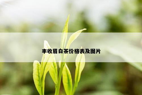 丰收眉白茶价格表及图片