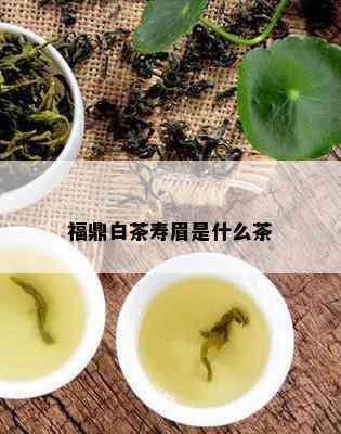 福鼎白茶寿眉是什么茶