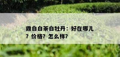 鼎白白茶白牡丹：好在哪儿？价格？怎么样？