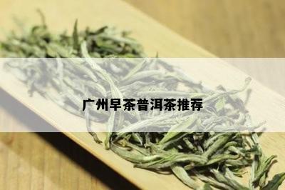 广州早茶普洱茶推荐