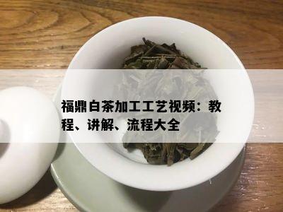 福鼎白茶加工工艺视频：教程、讲解、流程大全