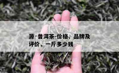 源·普洱茶-价格、品牌及评价，一斤多少钱