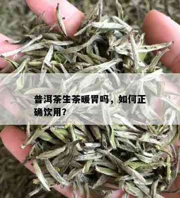 普洱茶生茶暖胃吗，如何正确饮用？