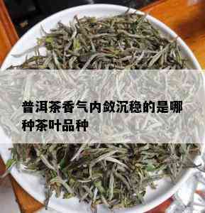 普洱茶香气内敛沉稳的是哪种茶叶品种