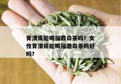 胃溃疡能喝福鼎白茶吗？女性胃溃疡能喝福鼎白茶吗好吗？