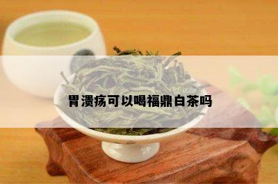 胃溃疡可以喝福鼎白茶吗