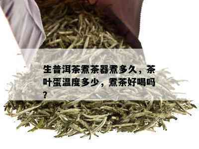 生普洱茶煮茶器煮多久，茶叶蛋温度多少，煮茶好喝吗？