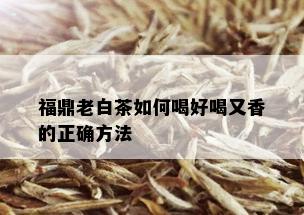 福鼎老白茶如何喝好喝又香的正确方法