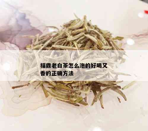 福鼎老白茶怎么泡的好喝又香的正确方法