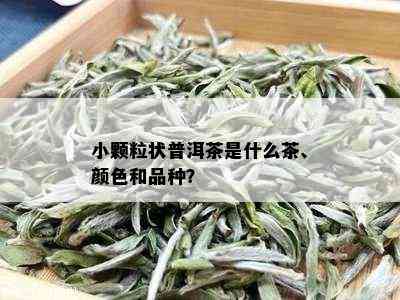 小颗粒状普洱茶是什么茶、颜色和品种？