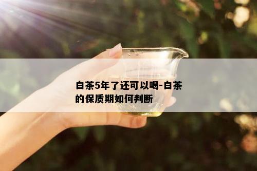 白茶5年了还可以喝-白茶的保质期如何判断