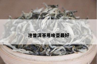 泡普洱茶用啥壶更好