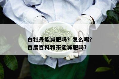 白牡丹能减肥吗？怎么喝？百度百科和茶能减肥吗？