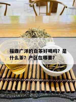 福鼎广洋的白茶好喝吗？是什么茶？产区在哪里？