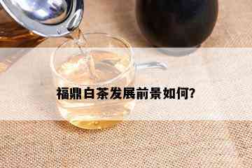 福鼎白茶发展前景如何？