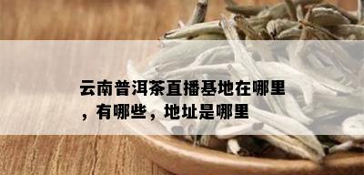 云南普洱茶直播基地在哪里，有哪些，地址是哪里