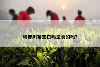 喝普洱茶美白吗是真的吗？