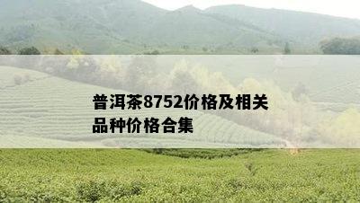 普洱茶8752价格及相关品种价格合集