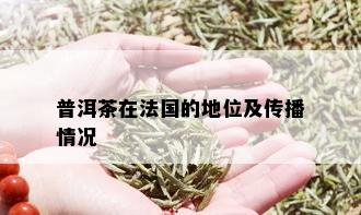 普洱茶在法国的地位及传播情况