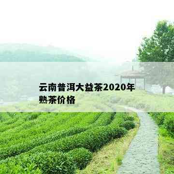 云南普洱大益茶2020年熟茶价格