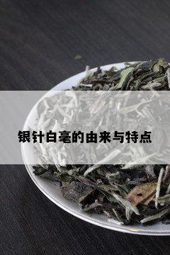 银针白毫的由来与特点