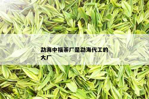 勐海中福茶厂是勐海代工的大厂