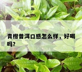 青柑普洱口感怎么样，好喝吗？