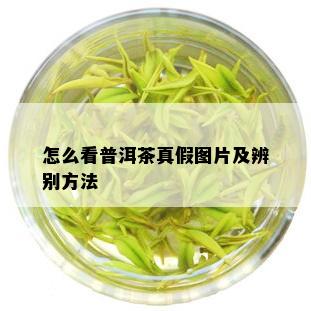 怎么看普洱茶真假图片及辨别方法