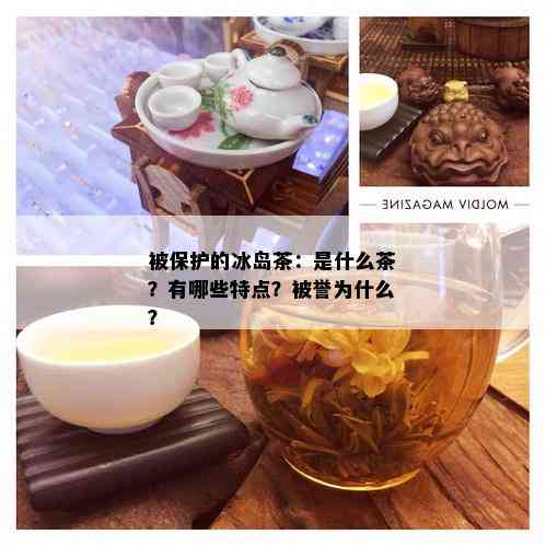 被保护的冰岛茶：是什么茶？有哪些特点？被誉为什么？