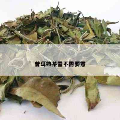 普洱熟茶需不需要煮