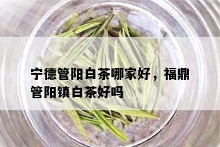 宁德管阳白茶哪家好，福鼎管阳镇白茶好吗