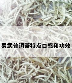 易武普洱茶特点口感和功效