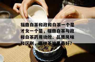 福鼎白茶和政和白茶一个是才女一个是，福鼎白茶与政和白茶药用功效、品质风味和区别，哪种茶效果更好？