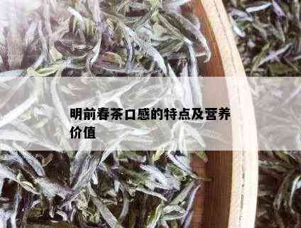 明前春茶口感的特点及营养价值