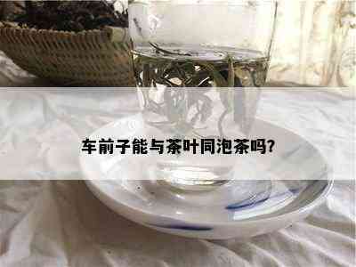 车前子能与茶叶同泡茶吗？