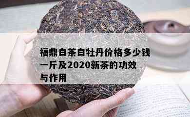 福鼎白茶白牡丹价格多少钱一斤及2020新茶的功效与作用