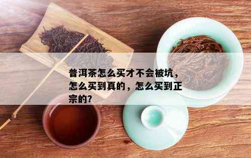 普洱茶怎么买才不会被坑，怎么买到真的，怎么买到正宗的？