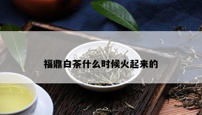 福鼎白茶什么时候火起来的