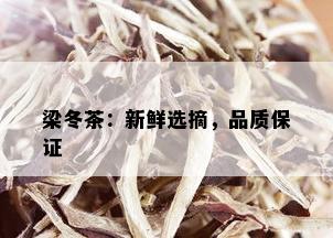 梁冬茶：新鲜选摘，品质保证