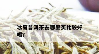 冰岛普洱茶去哪里买比较好喝？